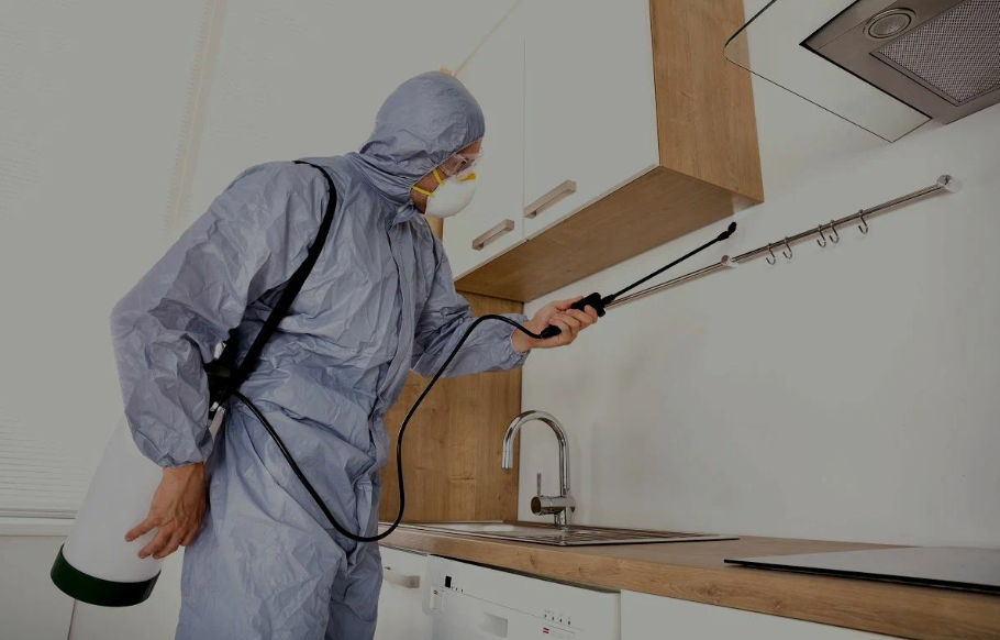 Gilroy pest managment